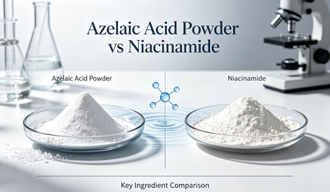 Azelaic Acid Powder vs Niacinamide: Key Differences in Skincare Applications
